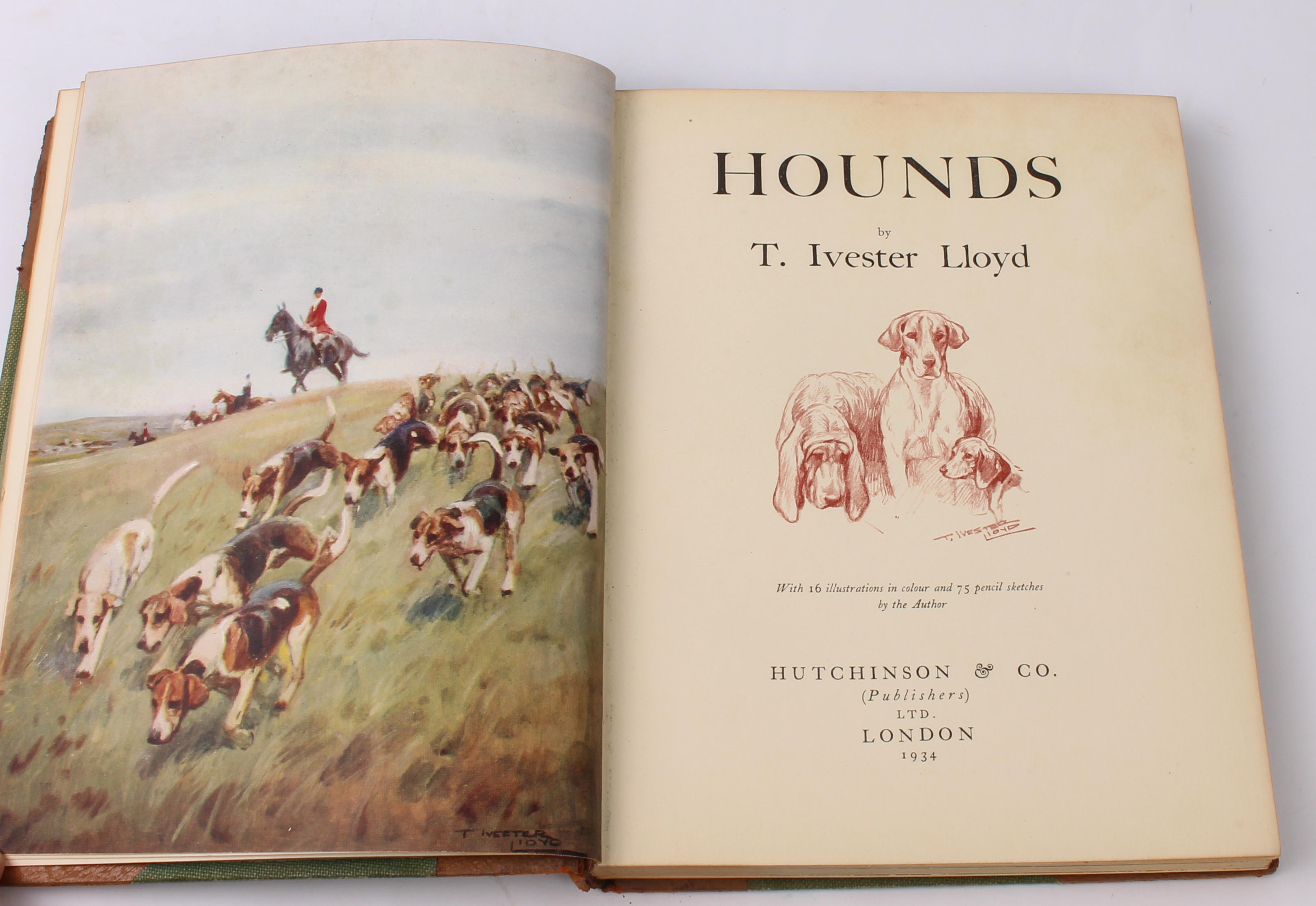 Six volumes mostly relating to fox hunting and hounds: 1. Ivester Lloyd (T), Hounds, pub. London: - Bild 8 aus 9