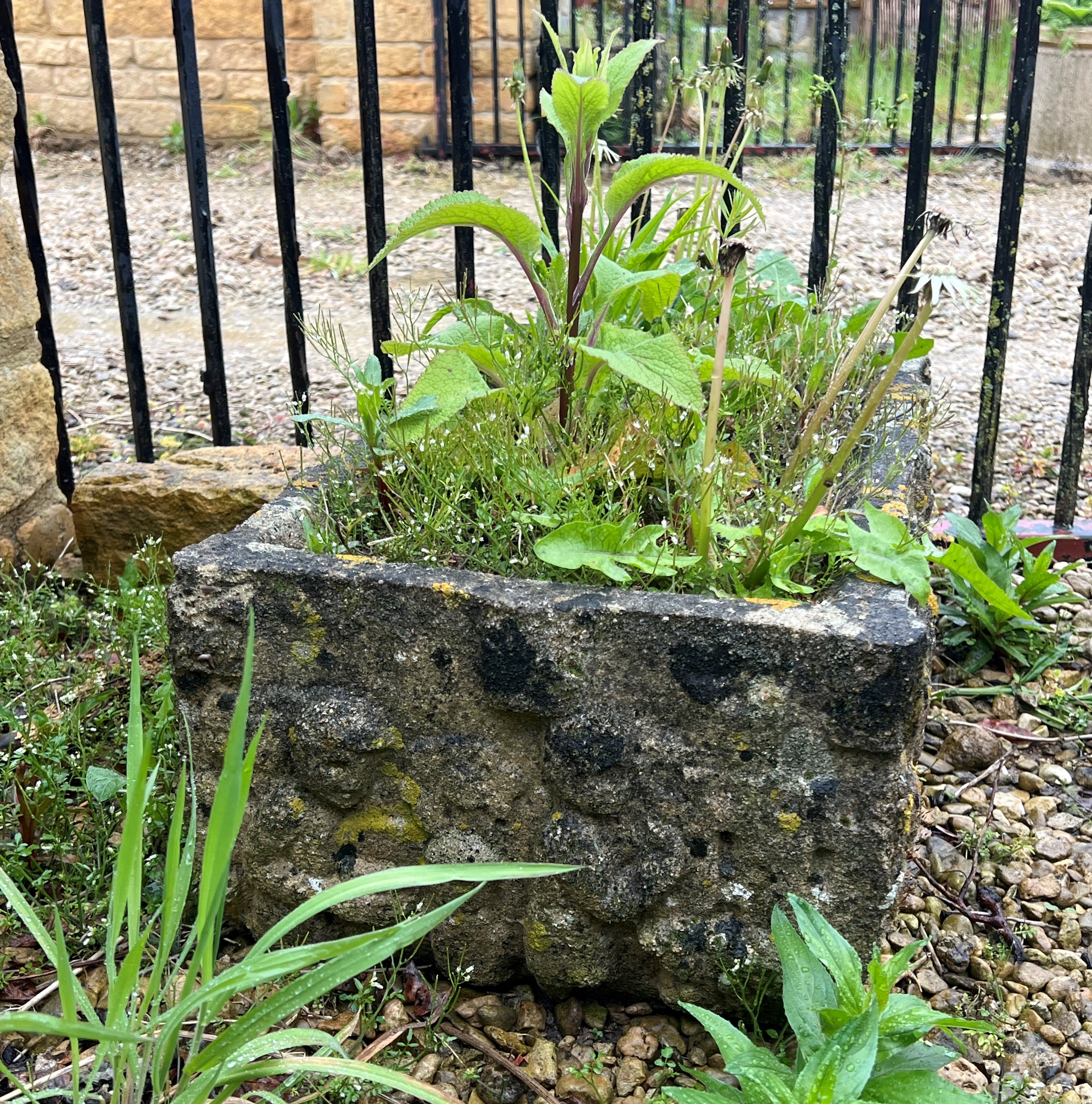 A composite stone rectangular trough - decorated with a figural frieze, 70 x 35cm x 23cm high. - Bild 2 aus 2