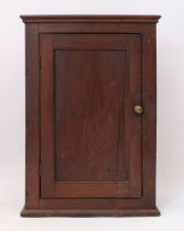 A George III oak hanging wall cupboard - the cavetto moulded cornice over a panelled door