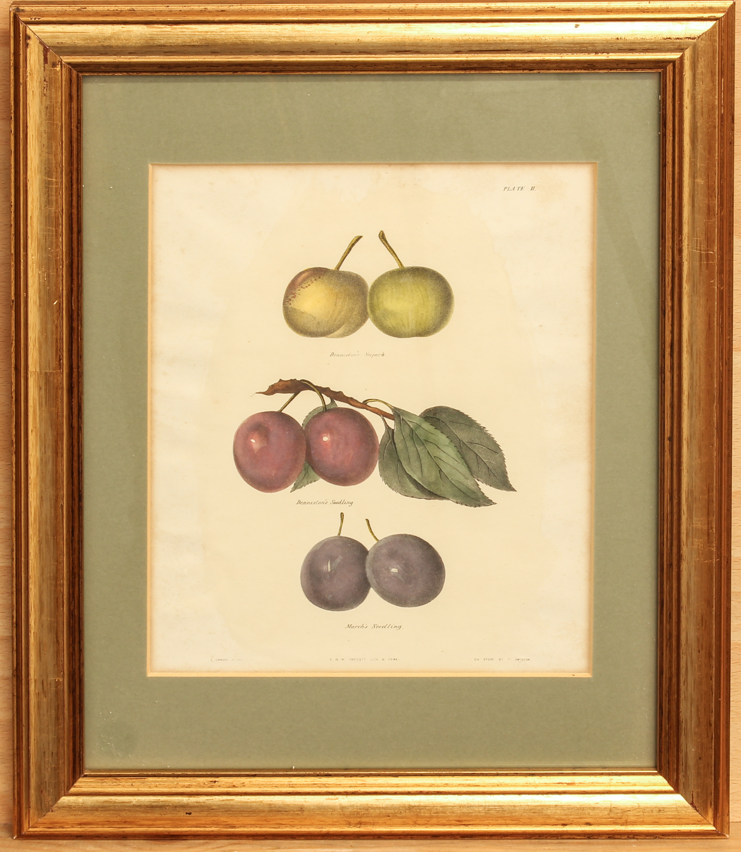 Ebenezer Eminons (American, 1799-1863) - two hand coloured lithographs of fruit, one of Bleeker - Image 4 of 7