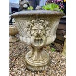 A pair of composite garden urns with lion mask handles - the bowl 55cm diameter, 63cm high.