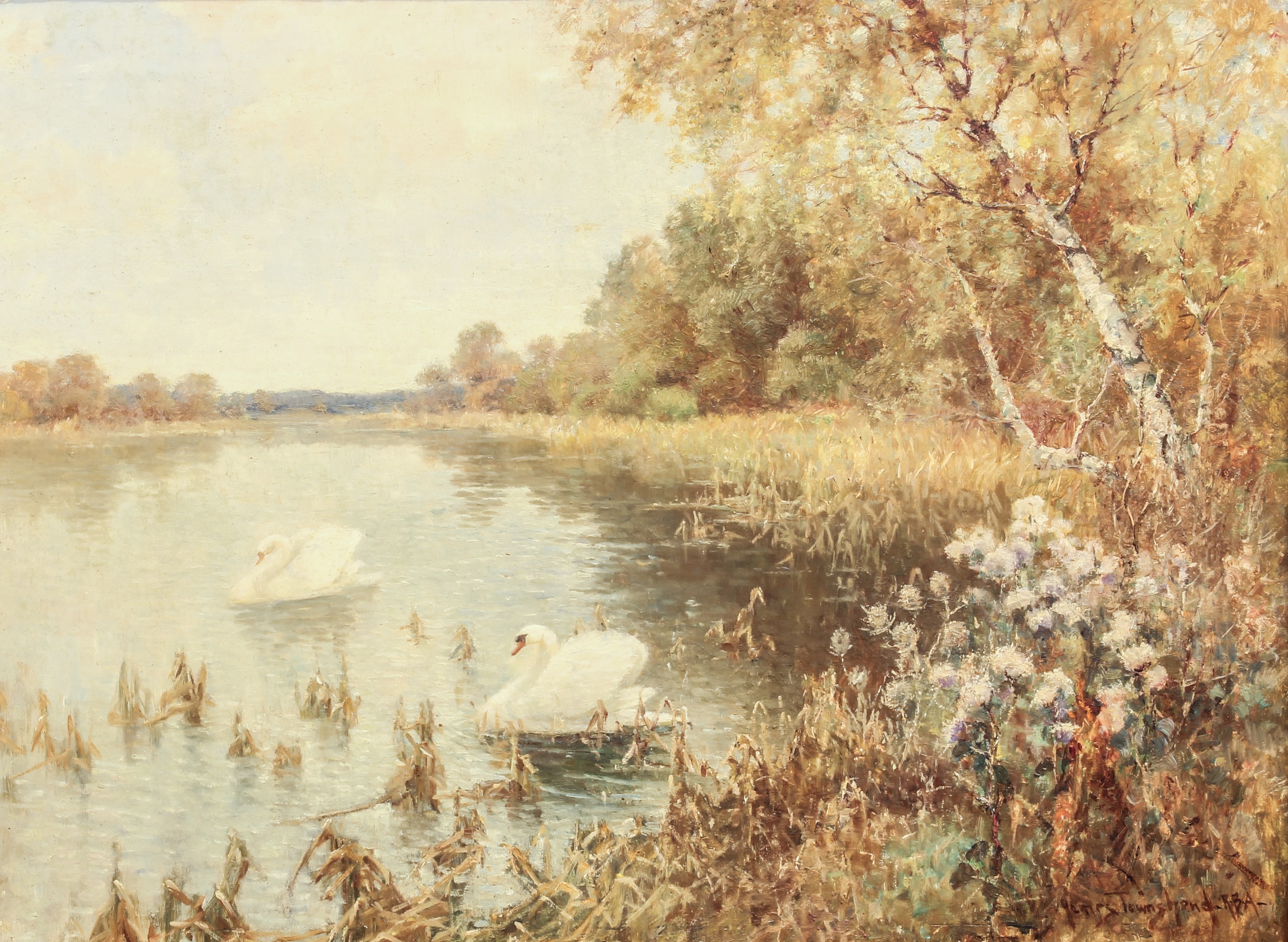 James Townshend, RBA (British, 1869-1949) Swans on a wooded lake oil on board, signed lower right 18