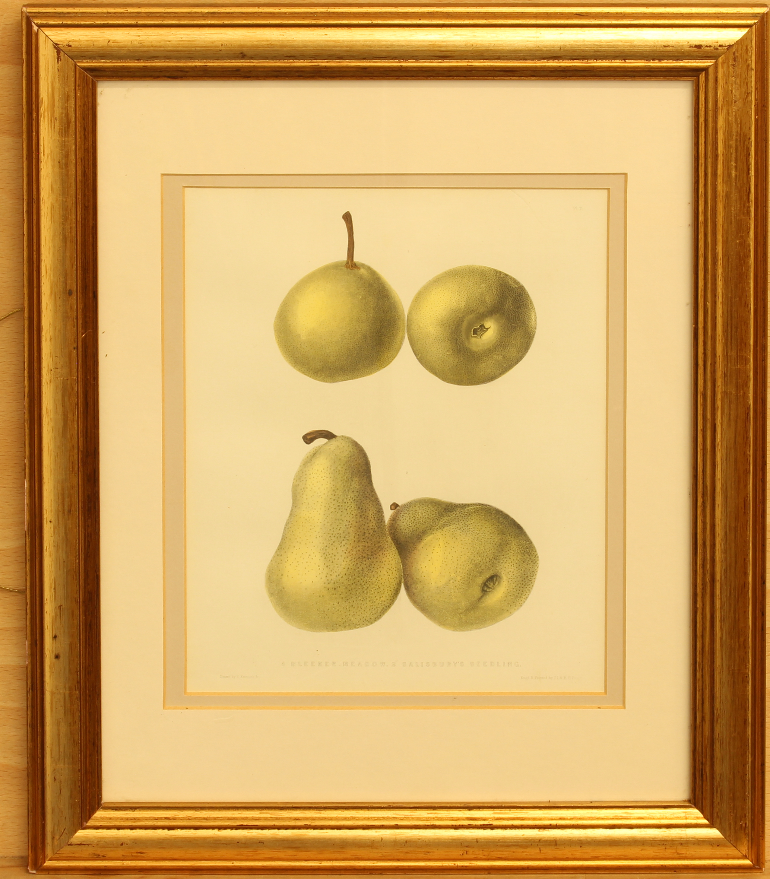 Ebenezer Eminons (American, 1799-1863) - two hand coloured lithographs of fruit, one of Bleeker - Image 2 of 7