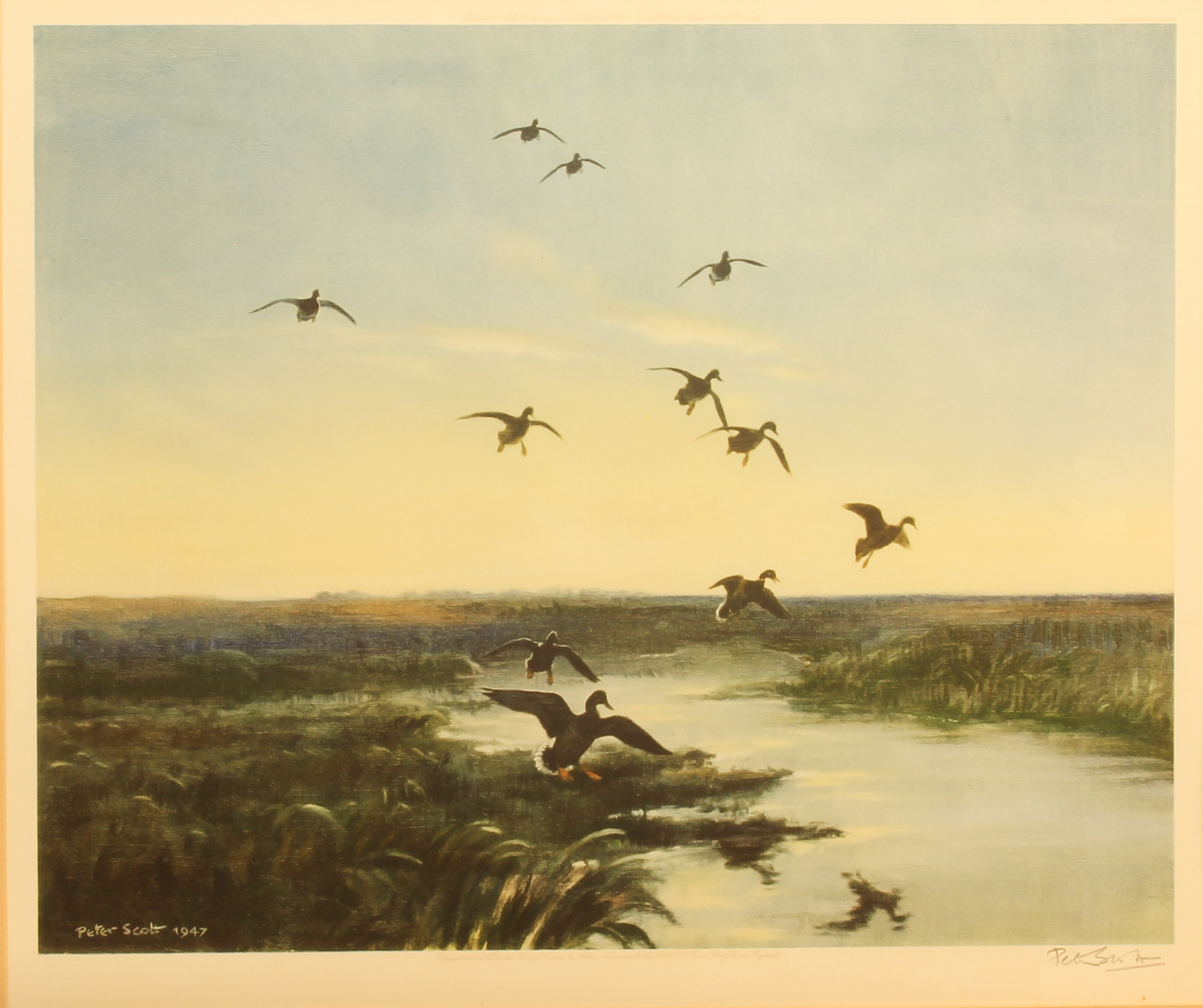 Peter Scott (British, 1909-1989) Mallards arriving at dusk limited edition colour lithograph, signed - Bild 2 aus 3