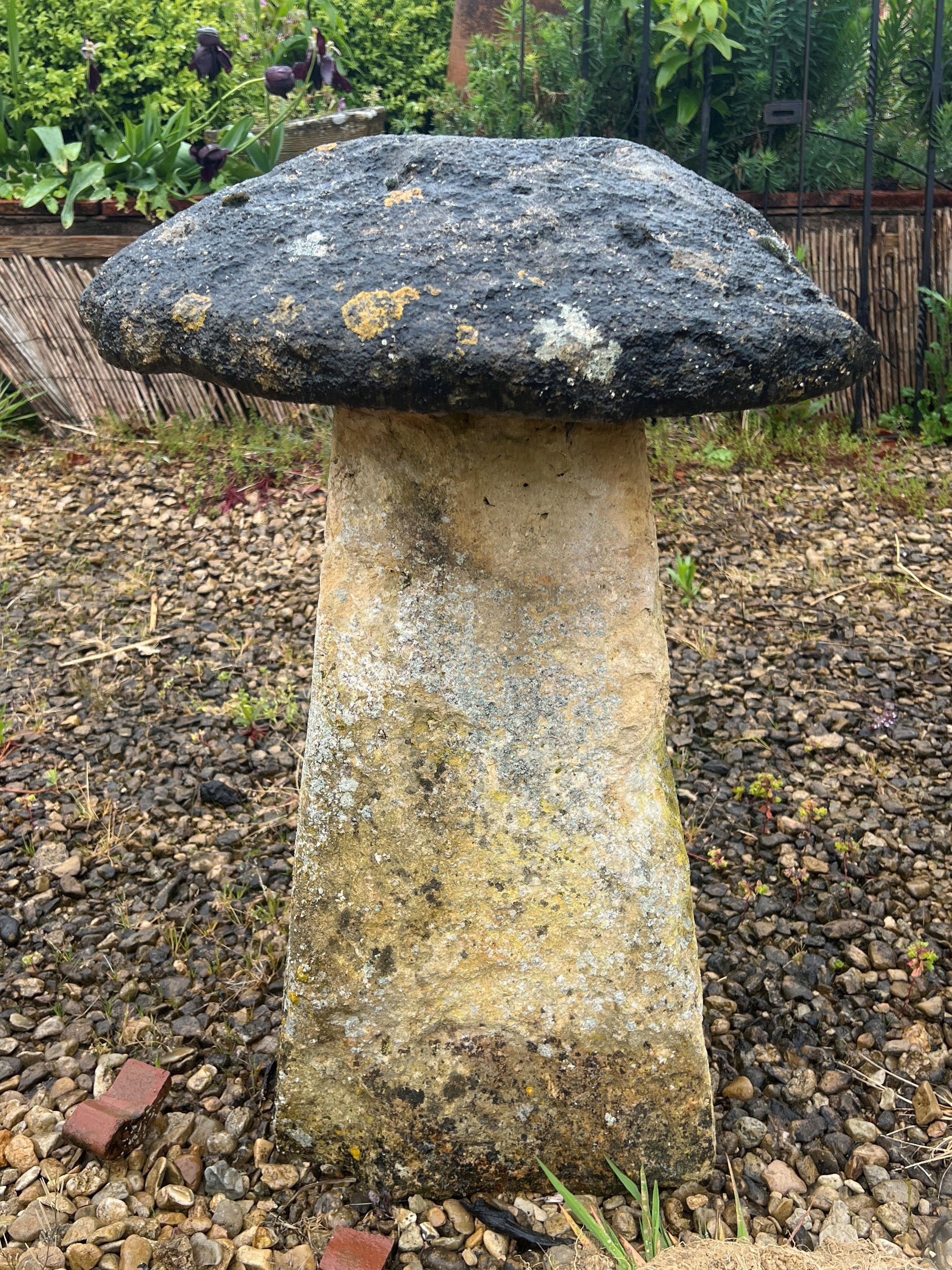 A Cotswold stone staddle stone - the top 51cm diameter, 58cm high.