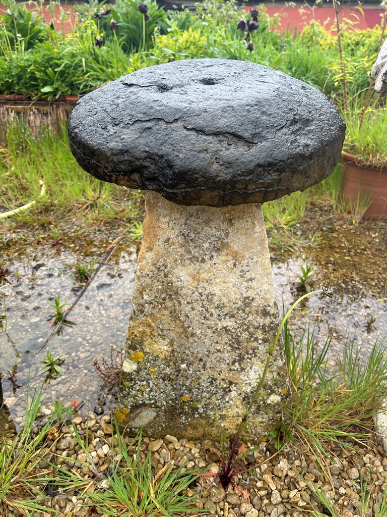 A Cotswold stone staddle stone - the top 45cm diameter, overall height 75 cm.