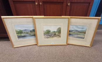 SERENA VIVIAN-NEAL, 3 GILT FRAMED WATER COLOUR OF COUNTRY VIEWS, ALL SIGNED - 19.