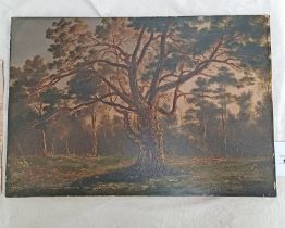 JAMES GILES WOODLAND SCENE LABEL TO REVERSE UNFRAMED 19TH CENTURY OIL ON BOARD 34 X 51 CM