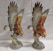 PAIR OF HUTSCHENREUTHER PORCELAIN BIRDS OF PREY,