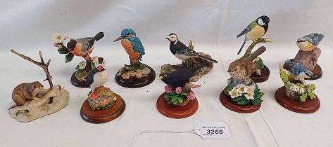 10 BORDER FINE ARTS & COVENTRY ARTISTS BIRDS