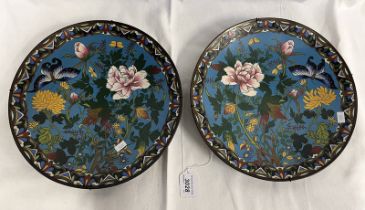 PAIR OF CLOISONNE PLATES WITH FLORAL DECORATION,