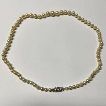 GRADUATED CULTURED PEARL NECKLACE ON PASTE SET CLASP - 51 CM