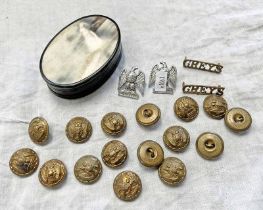 19TH CENTURY HORN BOX WITH ROYAL SCOTS GREYS BRASS BUTTONS & BADGES