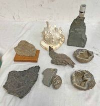 SELECTION OF FOSSILS,