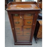 19TH CENTURY MAHOGANY COLLECTOR'S CABINET WITH GALLERY TOP OVER GLAZED PANEL DOOR OPENING TO