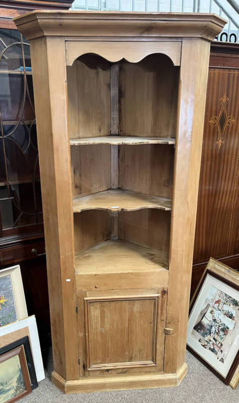 PINE CORNER OPEN BOOKCASE WITH PANEL DOOR TO BASE 195 CM TALL