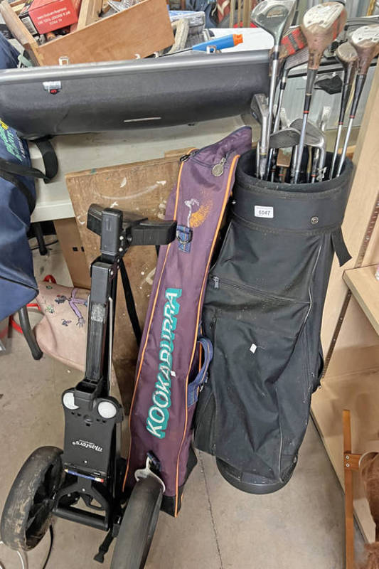 GOLF CLUBS IN BAG TO INCLUDE SAM SNEAD BLUE RIDGE, SLAZENGER 308 PUTTER,