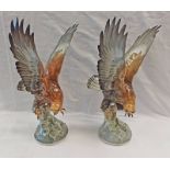 PAIR OF HUTSCHENREUTHER PORCELAIN BIRDS OF PREY,