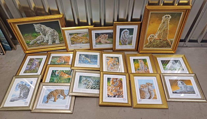 LARGE SELECTION OF ANIMAL PRINTS BY STEPHEN GAYFORD,