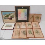 SELECTION OF PICTURES TO INCLUDE; J GOULD, VARIOUS FRAMED PRINTS OF DIFFERENT SPECIES OF BIRDS,