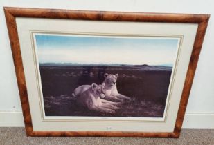 CHRISTOPHER BONAR STUDYING THE MENU SIGNED IN PENCIL FRAMED PRINT 58 X 83 CM