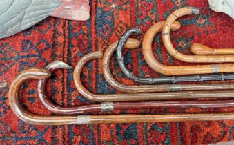 GOOD SELECTION OF VARIOUS WALKING CANES,