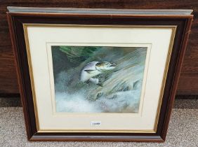 MAHOGANY FRAMED WATERCOLOUR OF A RAINBOW TROUT SWIMMING UP STREAM, UNSIGNED,