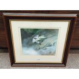 MAHOGANY FRAMED WATERCOLOUR OF A RAINBOW TROUT SWIMMING UP STREAM, UNSIGNED,