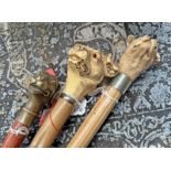 3 MODERN DOG HEADED WALKING STICKS, 1 WITH BRASS HEAD,