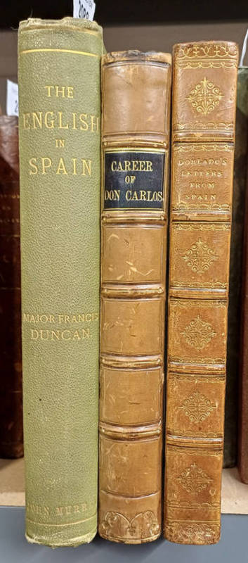 THE ENGLISH IN SPAIN: OR,