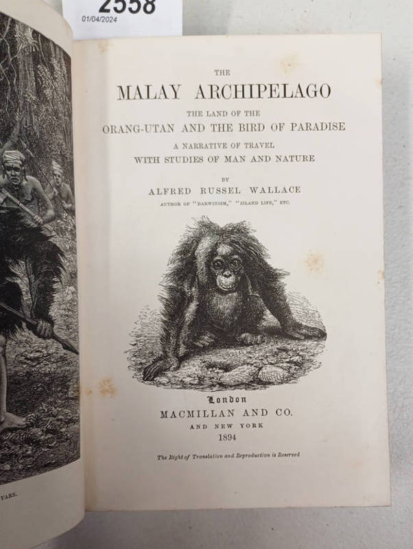 THE MALAY ARCHIPELAGO THE LAND OF THE ORANG-UTAN AND THE BIRD OF PARADISE,