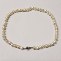 CULTURED PEARL NECKLACE - 44CM LONG, PEARLS 8.