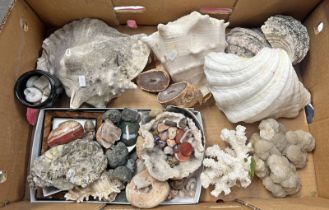 SELECTION OF MINERALS, SHELLS, ETC TO INCLUDE AGATE, MOTHER OF PEARL,