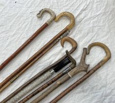 SELECTION OF WALKING STICKS AND CANES TO INCLUDE A WHITE METAL AND HORN HANDLED EXAMPLE ETC
