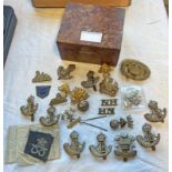 SELECTION OF CAP BADGES TO INCLUDE DLI, WALES, THE WELCH,