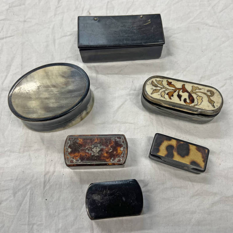 5 19TH CENTURY HORN BODIED SNUFF BOXES & 1 OTHER -6-