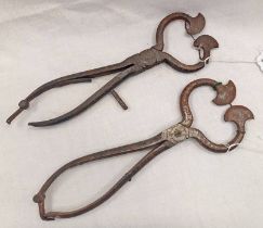 BURTON IRON SUGAR CUTTERS / NIPPERS,