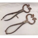 BURTON IRON SUGAR CUTTERS / NIPPERS,