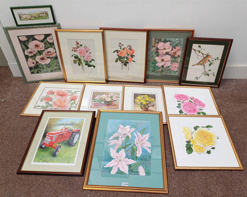 SELECTION OF WATERCOLOURS AND PRINTS TO INCLUDE; B GREEN, VARIOUS WATERCOLOURS OF PLANT SPECIES,