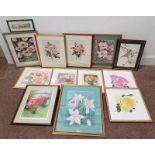 SELECTION OF WATERCOLOURS AND PRINTS TO INCLUDE; B GREEN, VARIOUS WATERCOLOURS OF PLANT SPECIES,