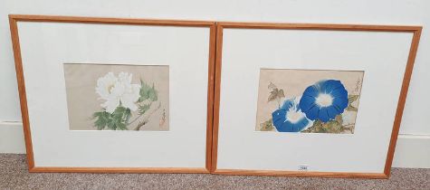 2 FRAMED ORIENTAL WATERCOLOUR OF FLOWERS, SIGNED WITH VARIOUS CHARACTER MARKS,