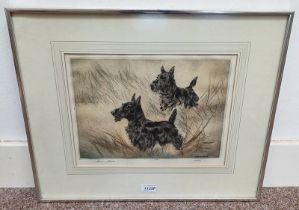 HENRY WILKINSON BLACK TERRIERS SIGNED IN PENCIL FRAMED ETCHING 27 X 36 CM Condition