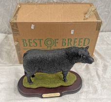 BEST OF BREED BY NATURE CRAFT, ABERDEEN ANGUS BULL WITH BOX,