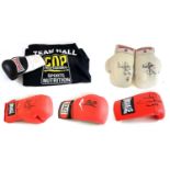 Autographed Boxing Gloves