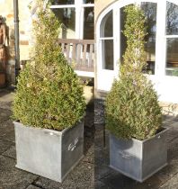 A Pair of Reproduction Lead Garden Planters, of square form, decorated with acorns and leaves 53cm