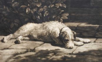 Herbert Thomas Dicksee RE (1862-1942) A terrier resting in dappled sunlight Signed in pencil, with