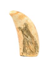 Natural History: A Period Scrimshaw-Decorated Sperm Whale Tooth (Physeter macrocephalus), circa
