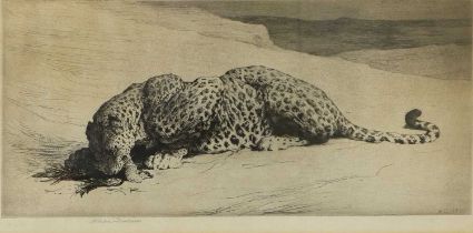 Herbert Thomas Dicksee RE (1862-1942) Leopard with kill Signed in pencil, with the blindstamp for