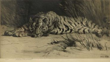 Herbert Thomas Dicksee RE (1862-1942) Resting tiger Signed in pencil, with a blindstamp, numbered