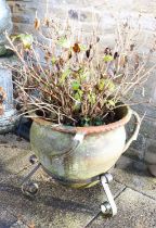 A 20th Century Cauldron-Shape Terracotta Planter, with four moulded handles, on a scrolled wrought